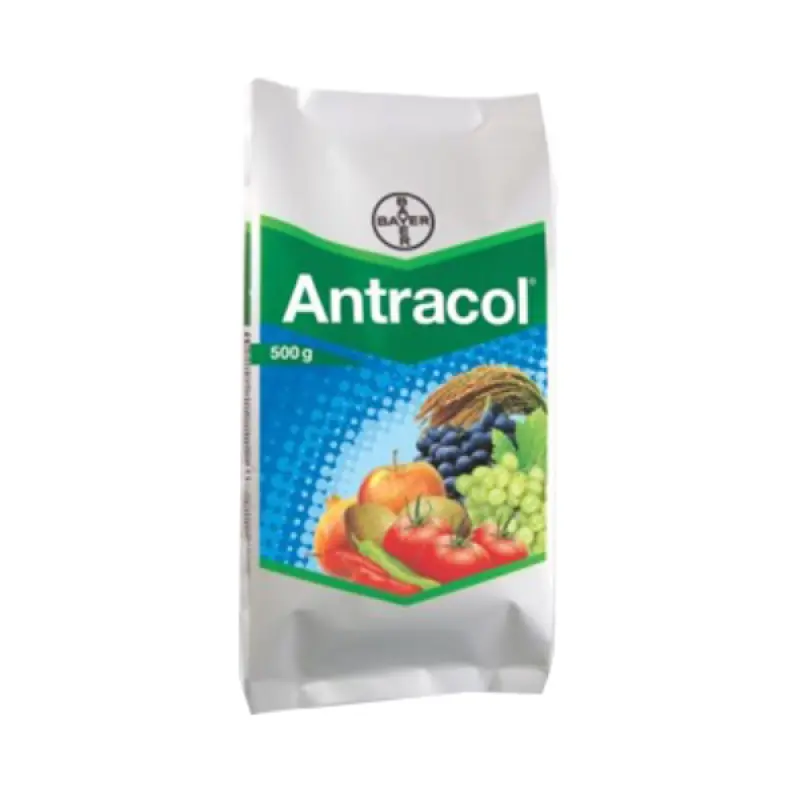 antracol-800x800